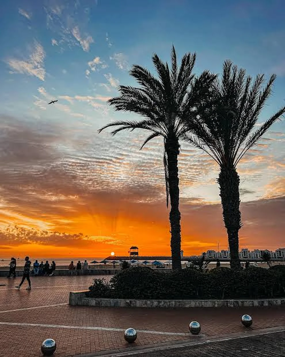 Agadir beach promenade at sunset with tall palm trees and golden sky